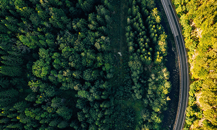 Nova Complex Signs Land Agreement for Phase I of Loviisa Data Center Project, Commits to Green Development and Local Employment